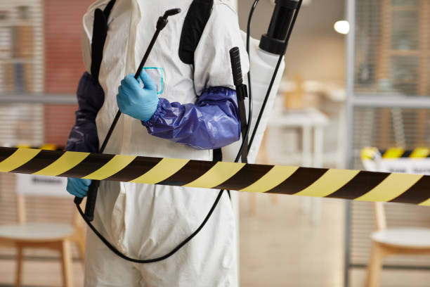 Professional Sewage Cleanup technician working in Dacono, CO